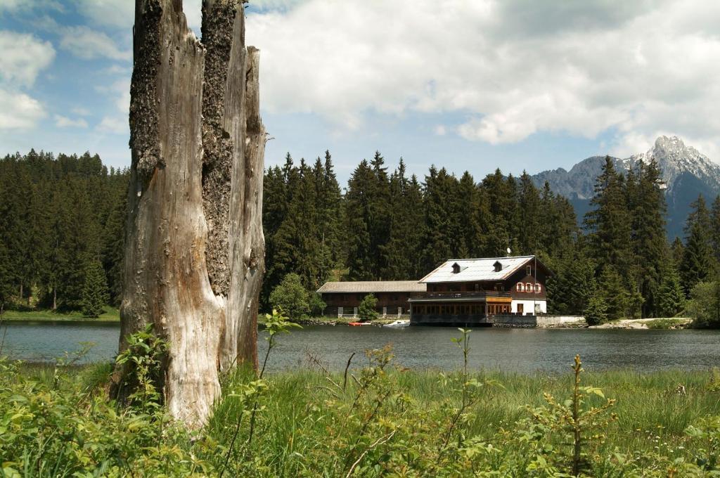 Alpenmotel Saeuling Pinswang Kültér fotó